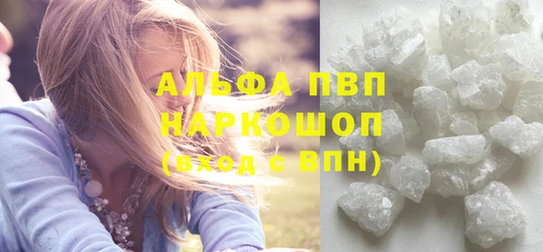 индика Вяземский