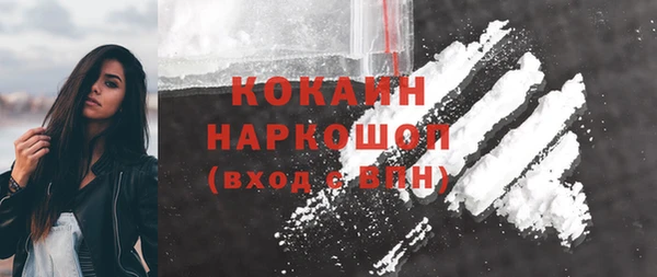 индика Вязники