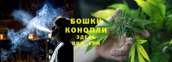 индика Вяземский