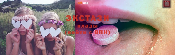 индика Вяземский