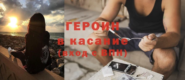 индика Вяземский