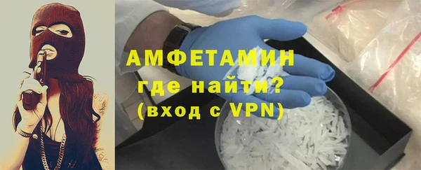 индика Вяземский