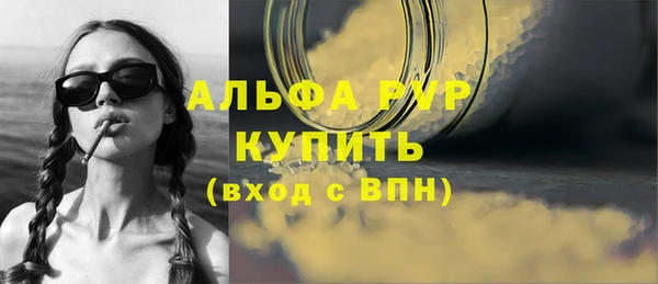 индика Вяземский