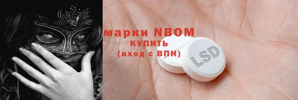 индика Вяземский