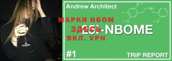 индика Вяземский