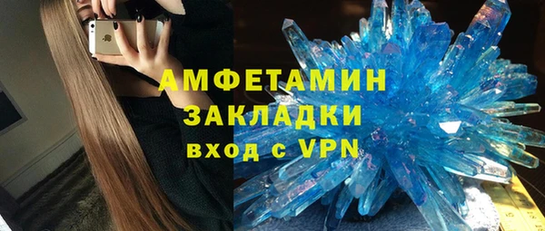 индика Вяземский