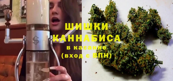индика Вяземский