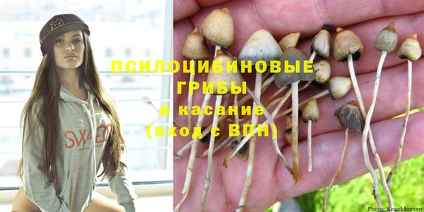 индика Вязники