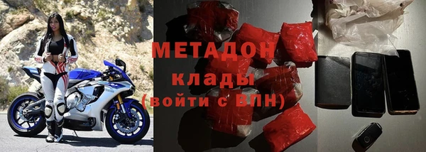 индика Вяземский