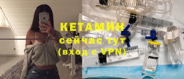 индика Вяземский