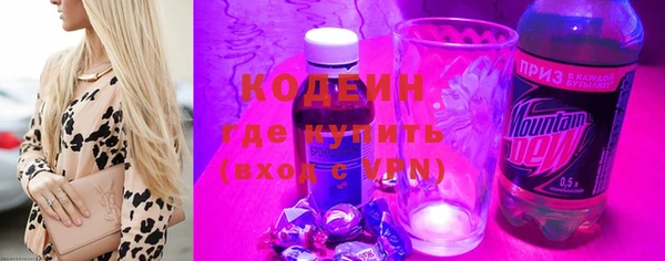 индика Вяземский