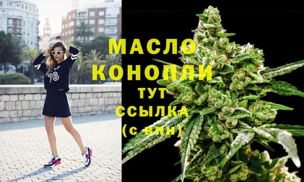 индика Вязники