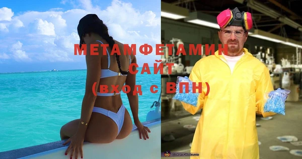 индика Вяземский