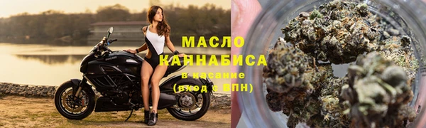 индика Вяземский